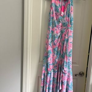 Beautiful Lilly Pulitzer Taylee Maxi Dress.